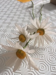 margherita di carta
