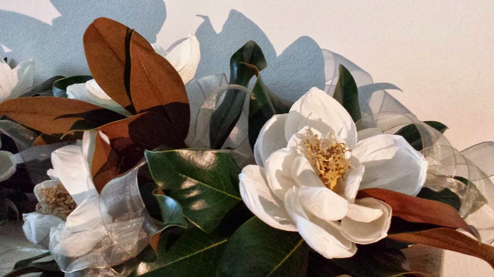 magnolia di carta